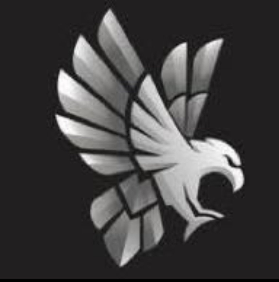 Silver Hawks