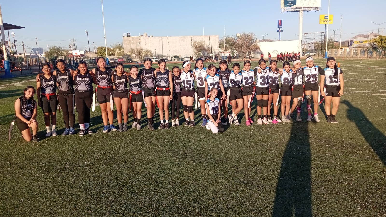 Blackwidow vs LOBOS HMO