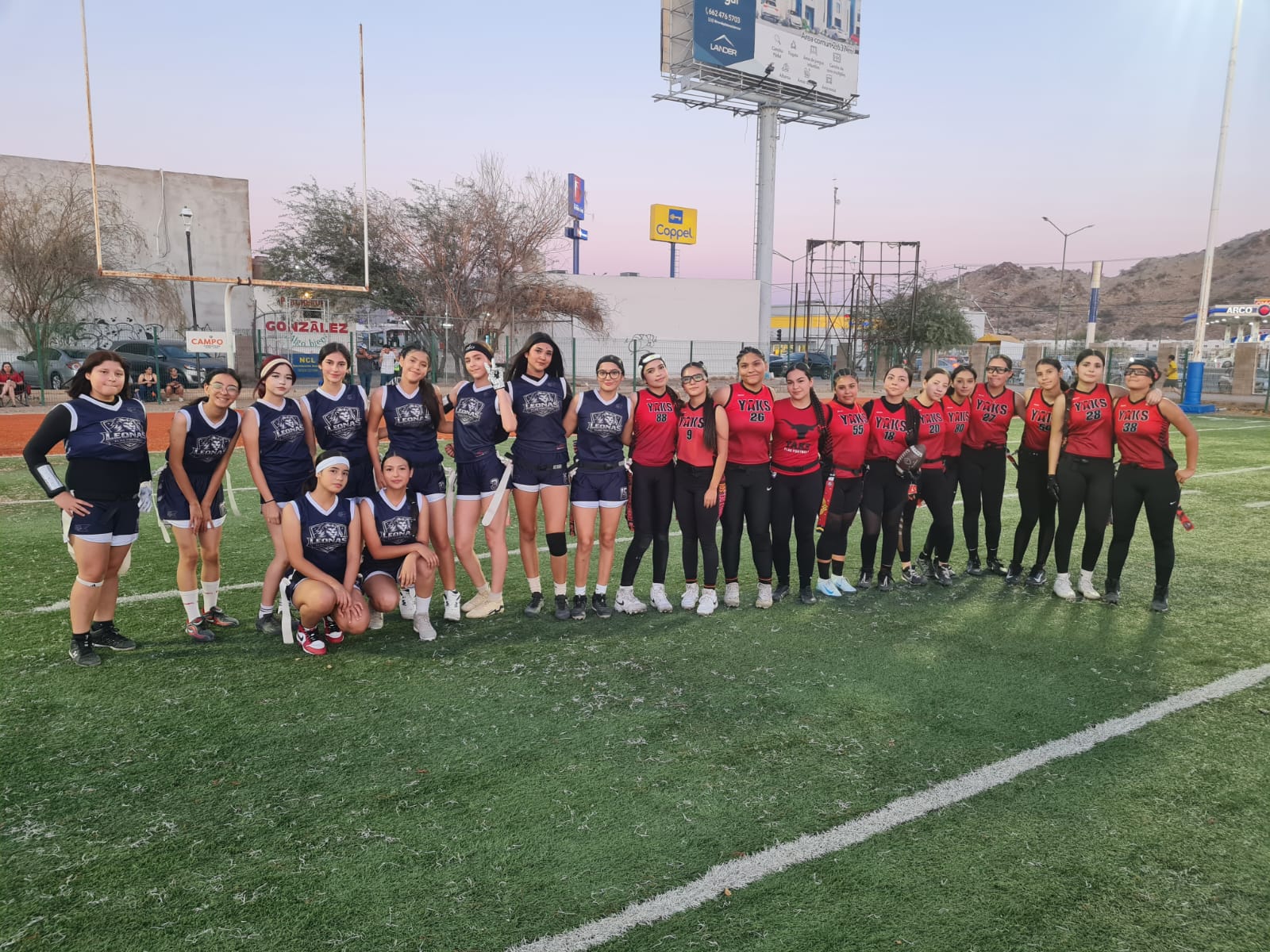 Yaks vs Leonas flag