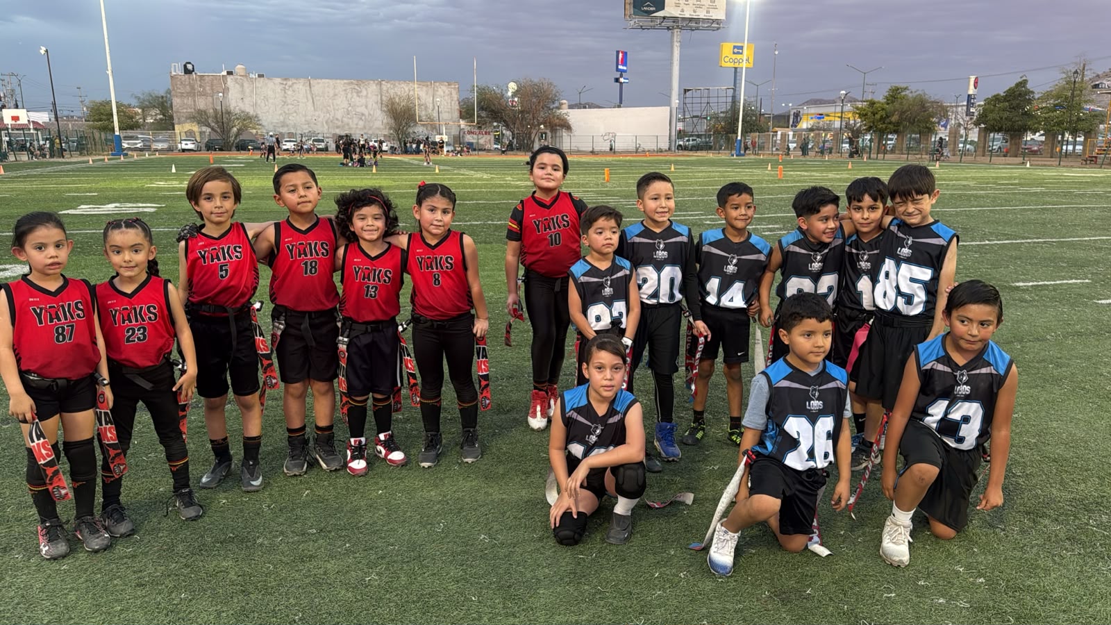 LOBOS HMO vs Yaks