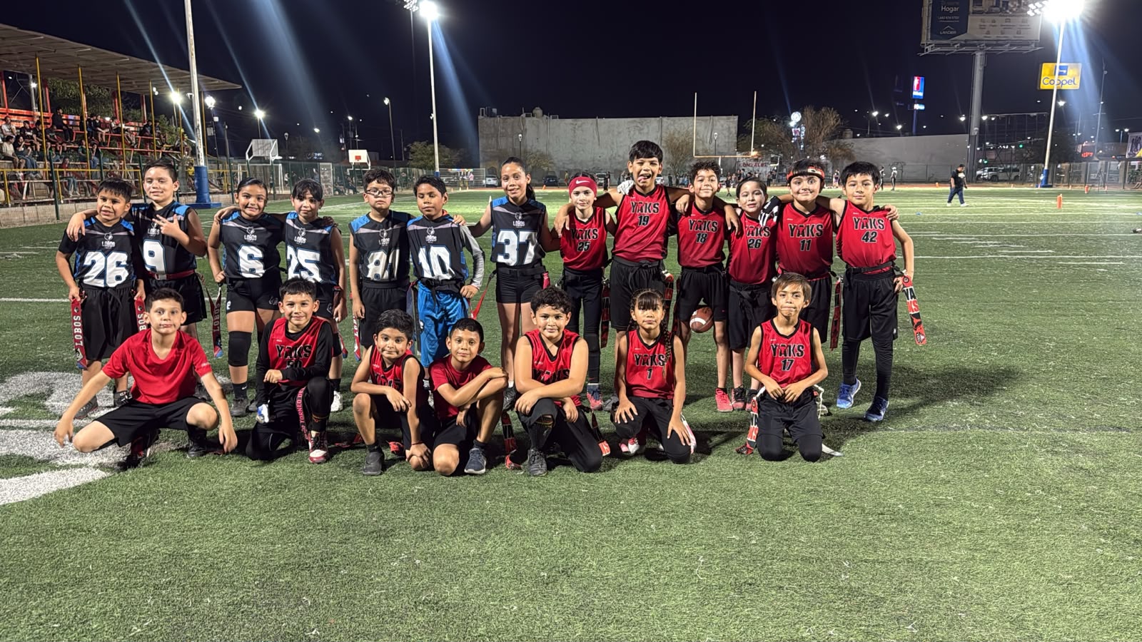 LOBOS HMO vs Yaks