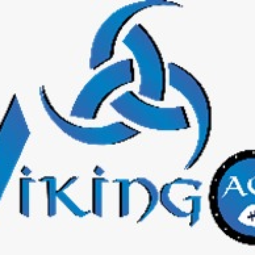 Vikings Aguascalientes