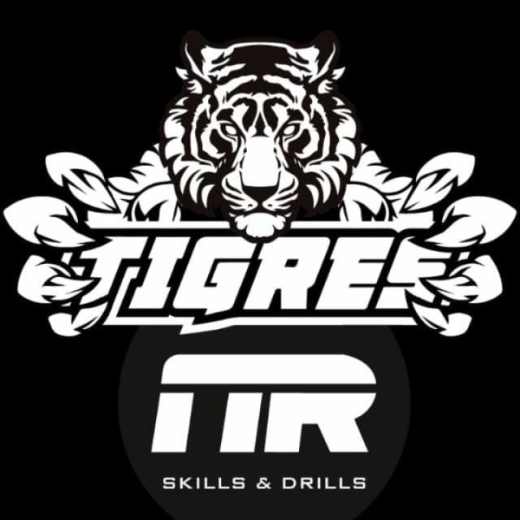 Academia de básquet Tigres NR