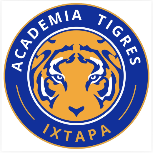Academia tigres ixtapa