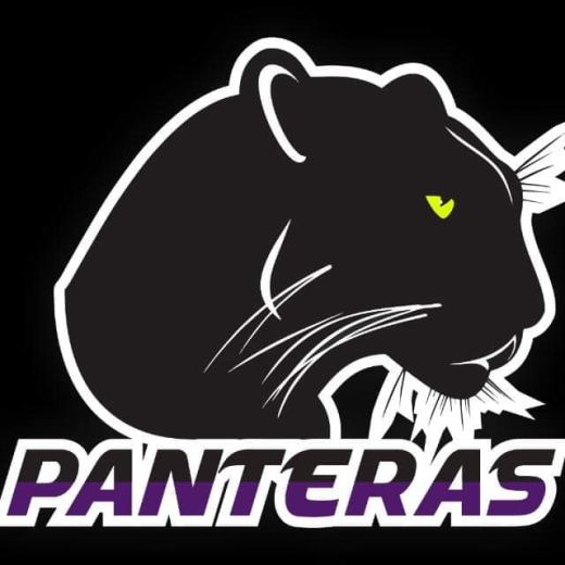 PANTERAS